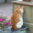 i was blind. by Woody Luc - Hardstyle cover art