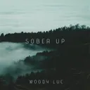 Sober Up by Woody Luc - Hardstyle cover art