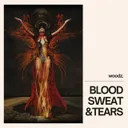 Blood, Sweat and Tears by Woodz. - Hardstyle cover art