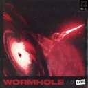 Cover of Wormhole