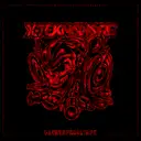 Real Recognize Real - Rough Mix by X-Teknokore - Frenchcore cover art