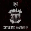 The Winged Serpent by Xaturate - Doomcore cover art