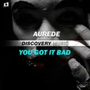 Cover of You Got It Bad