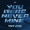 Cover of You Were Never Mine