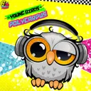 Cover of Young Birds