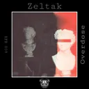 Schizophrenia - SYSTEM OF ICE Remix by Zeltak, SYSTEM OF ICE - Hard Techno cover art