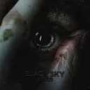 Black Sky by Zentryc, Azulo - Hard Techno cover art