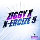 Drive X-Treme by ZIGGY X - Happy Hardcore cover art