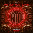 What We Live by Zion - Frenchcore cover art