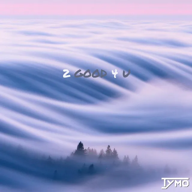Cover art of 2 Good 4 U