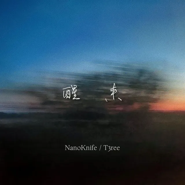 Cover art of 醒来