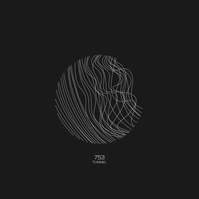Raw by 753 - Hard Techno cover art
