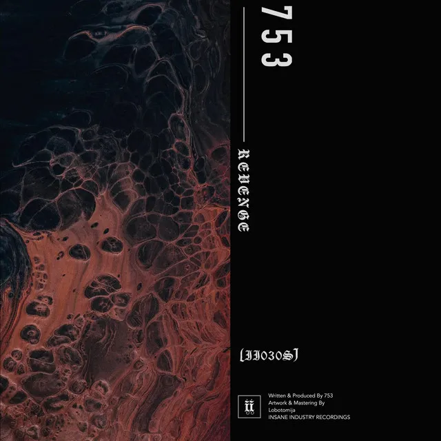 Revenge by 753 - Hard Techno cover art