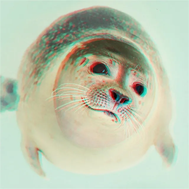 Sealtek by Actek - Hardstyle cover art