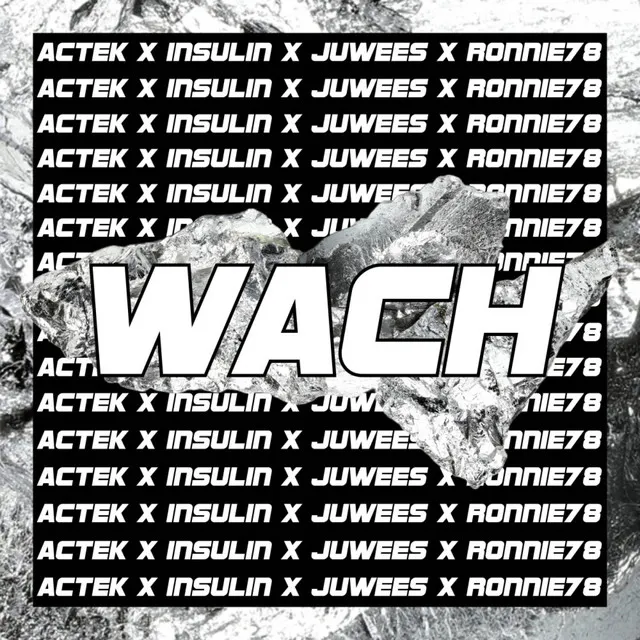 Wach - Remake Edition by Actek, Insulin52, Juwees, Ronnie78 - Hardstyle cover art