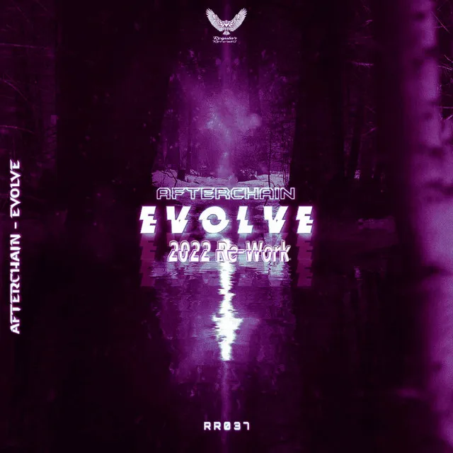 Evolve - 2022 Re-Work by AfterChain - Hardstyle cover art