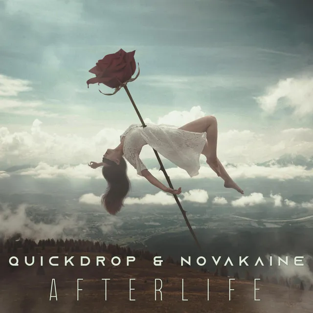 Cover art of Afterlife