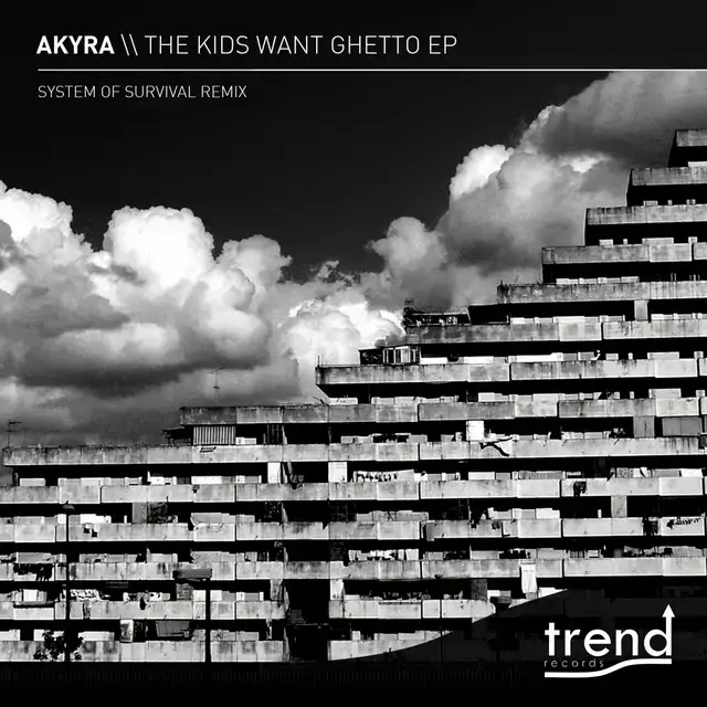 Liar by Akyra - Hardstyle cover art