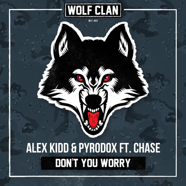 Don't You Worry - Radio Version by Alex Kidd, Pyrodox, Chase - Hardstyle cover art