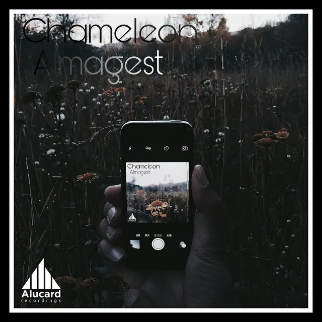 Chameleon by Almagest! - Hardstyle cover art