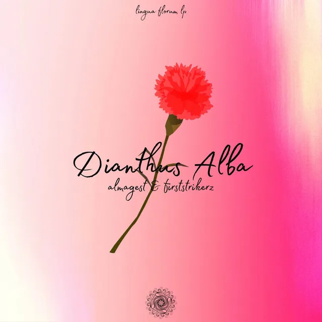 Dianthus Alba by Almagest!, Firststrikerz - Hardstyle cover art
