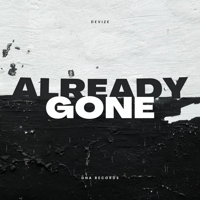 Cover art of ALREADY GONE