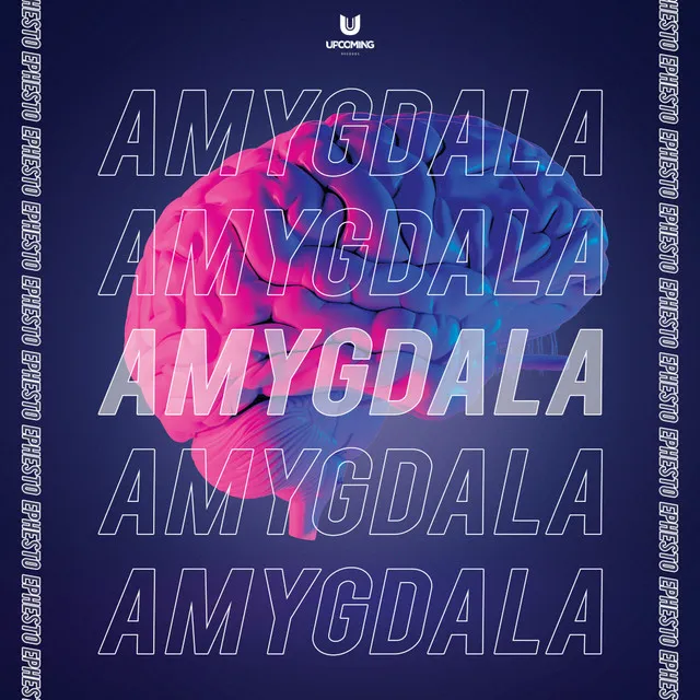 Cover art of Amygdala