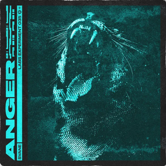 Cover art of Anger
