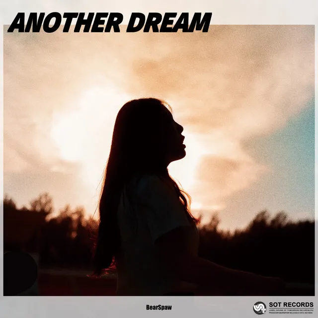 Cover art of Another Dream