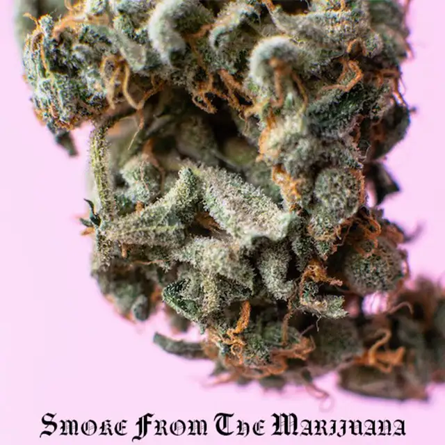 Smoke from the Marijuana by Aphøtic - Hard Techno cover art