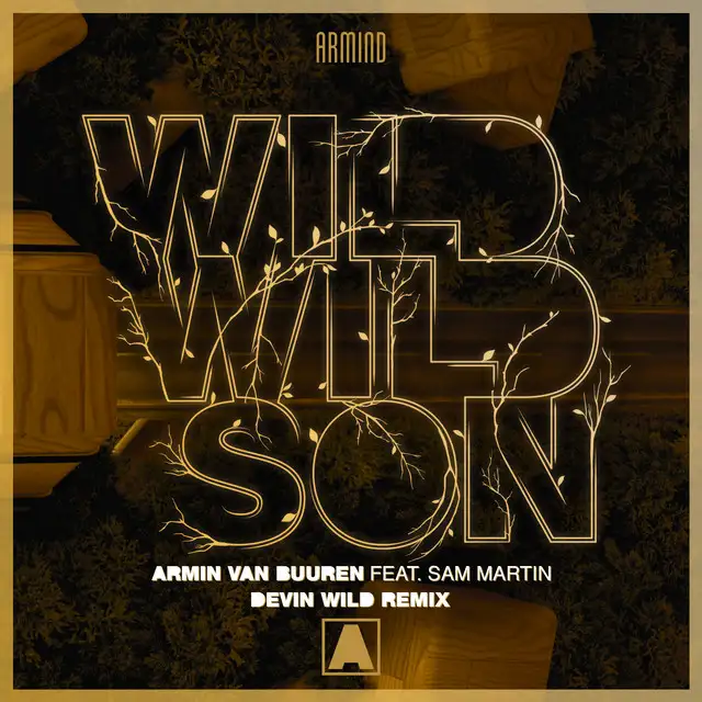 Wild Wild Son - Devin Wild Extended Remix by Armin van Buuren, Sam Martin, Devin Wild - Hardstyle cover art