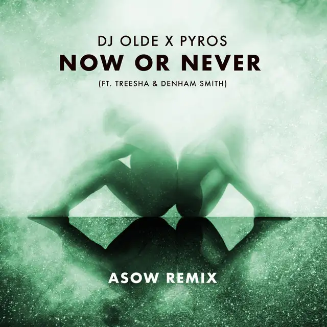 Now or Never [Asow Remix] by Asow, DJ Olde, Treesha, Denham Smith, Pyros - Hardstyle cover art