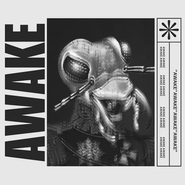 Cover art of Awake