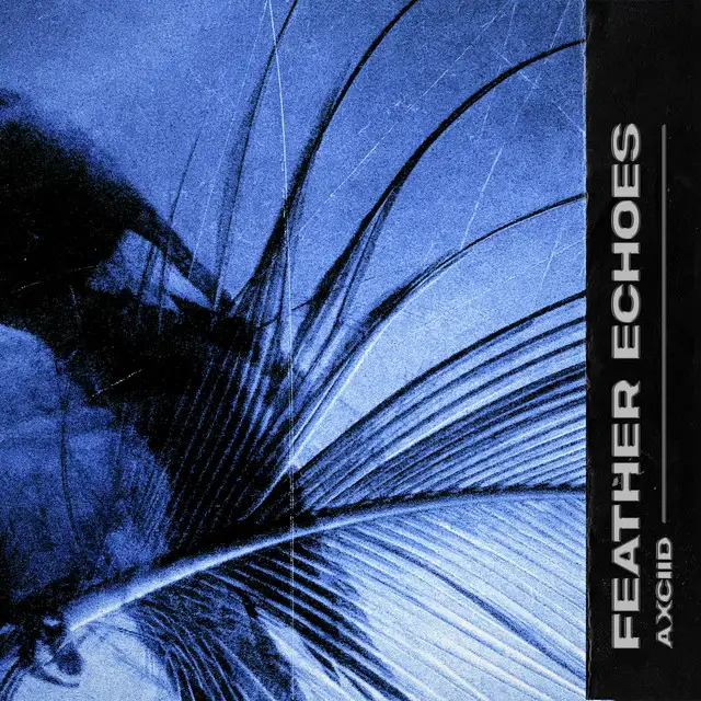 Feather Echoes by Axciid - Hard Techno cover art