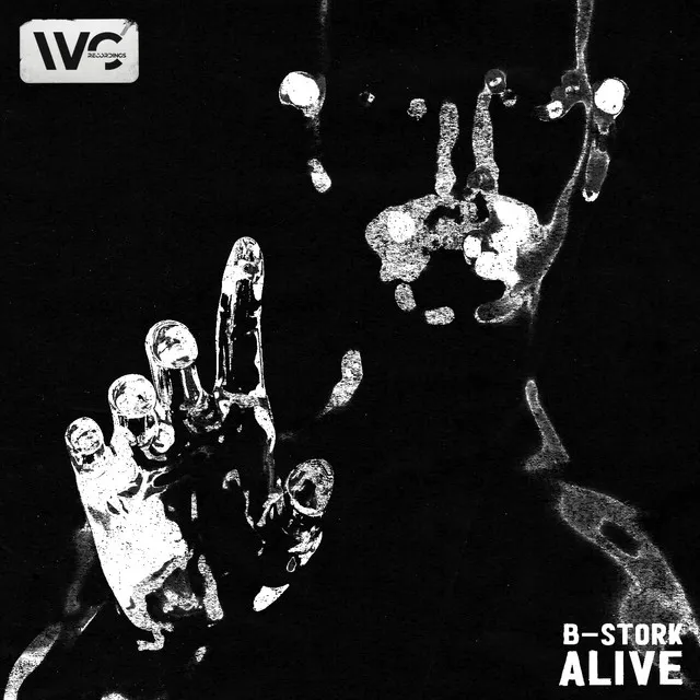 Alive - Extended Mix by B-Stork - Hardstyle cover art