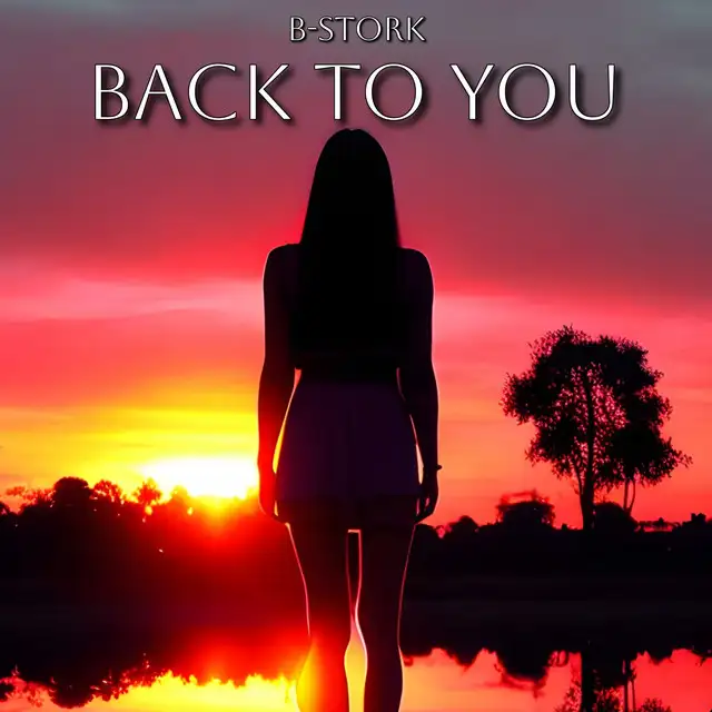 Back to You - Radio Mix by B-Stork - Hardstyle cover art
