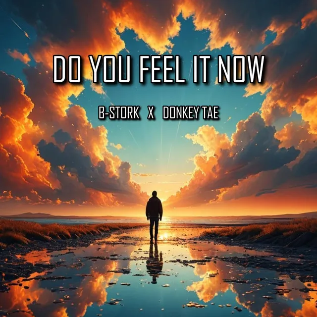 Do You Feel It Now - Radio Mix by B-Stork, Donkey Tae - Hardstyle cover art