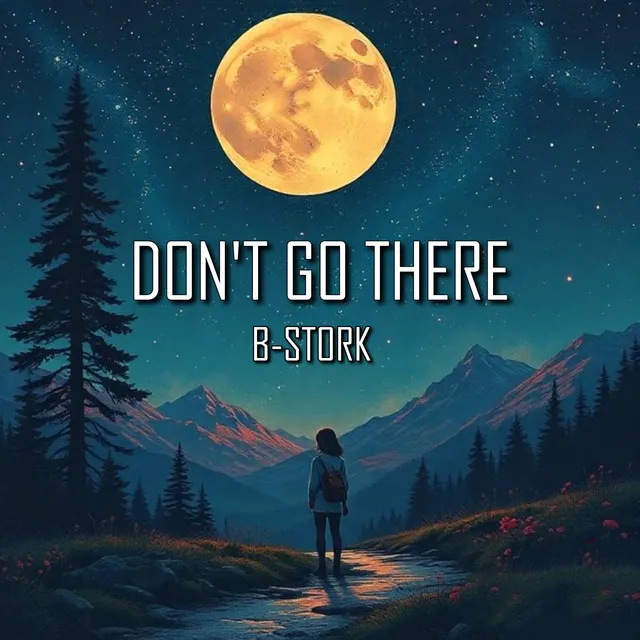 Don't Go There - Extended Mix by B-Stork - Hardstyle cover art