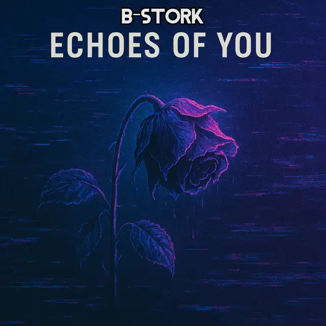 Echoes of You - Radio Mix by B-Stork - Hardstyle cover art