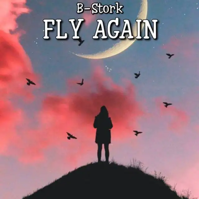 Fly Again - Extended Mix by B-Stork - Hardstyle cover art