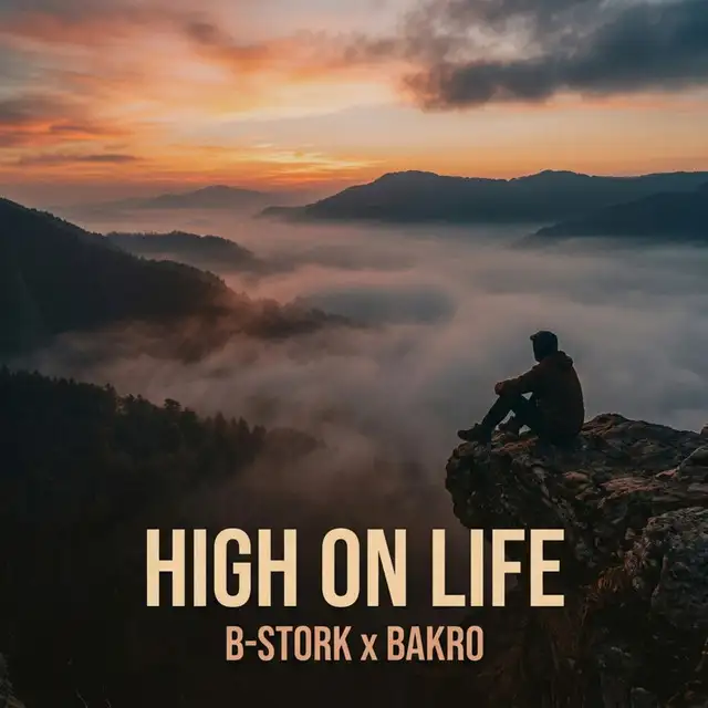 High on Life - Hardstyle Version - [Radio Mix] by B-Stork, BAKRO - Hardstyle cover art