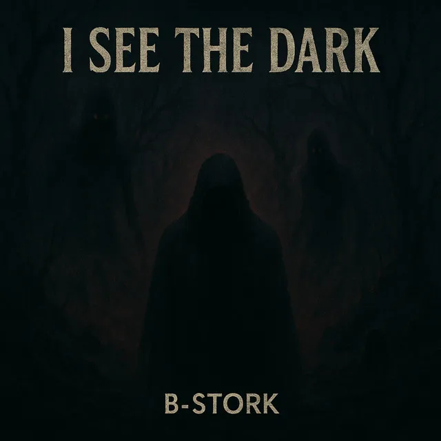 I See the Dark - Extended Mix by B-Stork - Hardstyle cover art