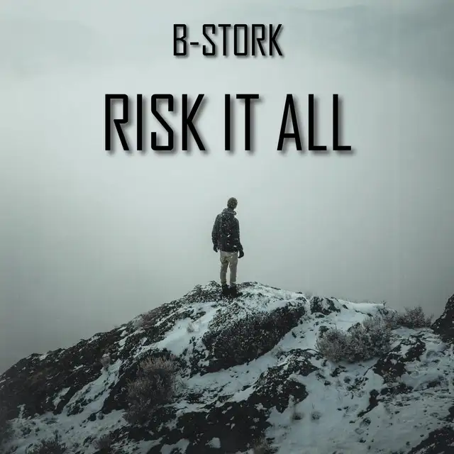 Risk It All - Radio Mix by B-Stork - Hardstyle cover art