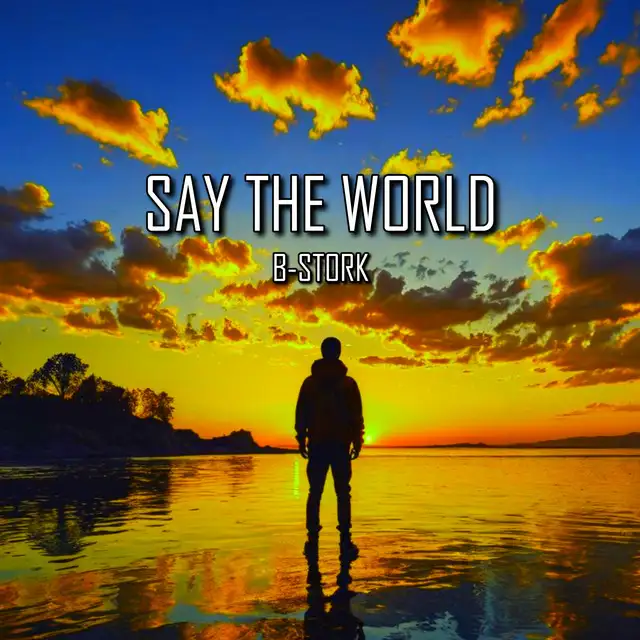 Say the World - Extended Mix by B-Stork - Hardstyle cover art