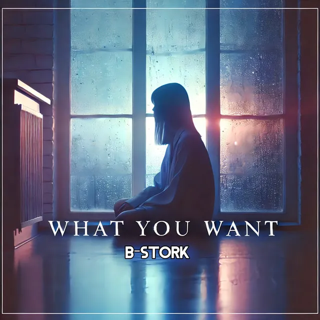 What You Want - Radio Mix by B-Stork - Hardstyle cover art