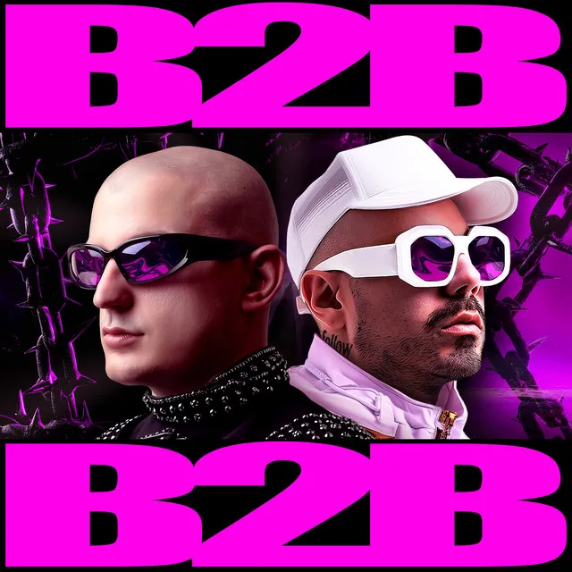 Cover art of B2B