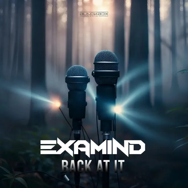 Cover art of Back At It