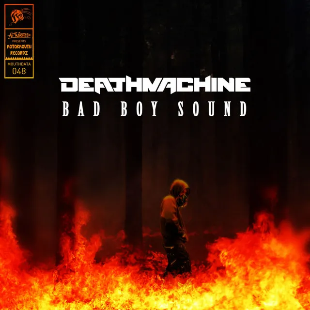 Cover art of Bad Boy Sound