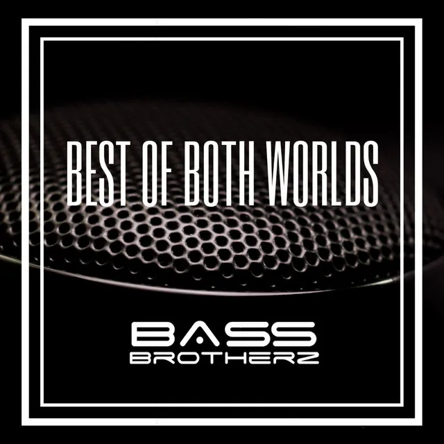 Best of Both Worlds by Bass Brotherz - Hardstyle cover art