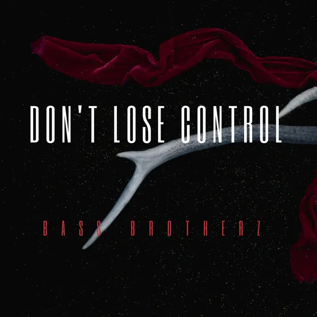 Don't Lose Control by Bass Brotherz - Hardstyle cover art